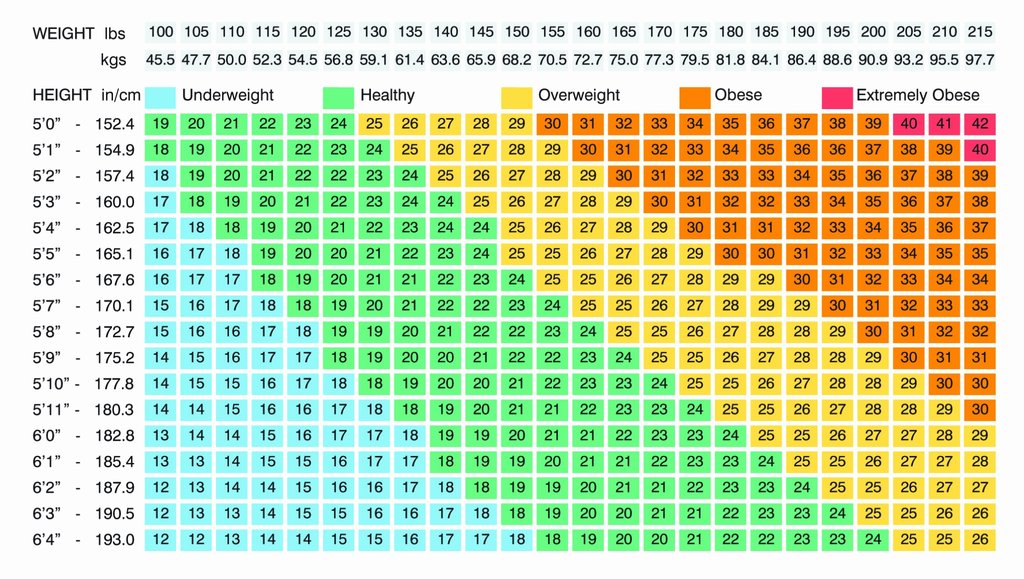 不可不知的身体指数:体脂率,内脏脂肪,bmi,基础代谢率