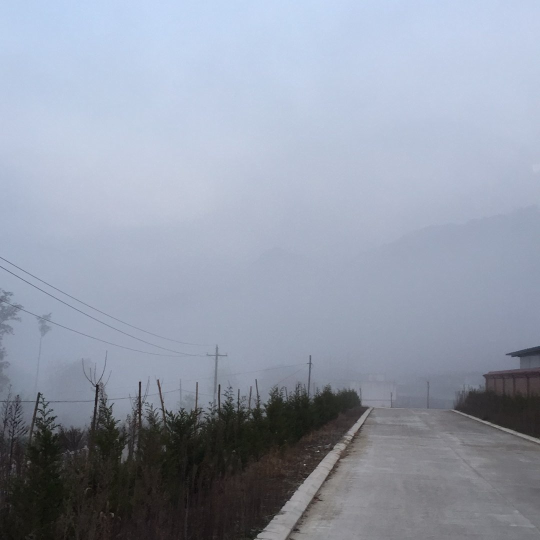 有时候枯燥无味的生活,是需要一些新鲜事物刺激的.