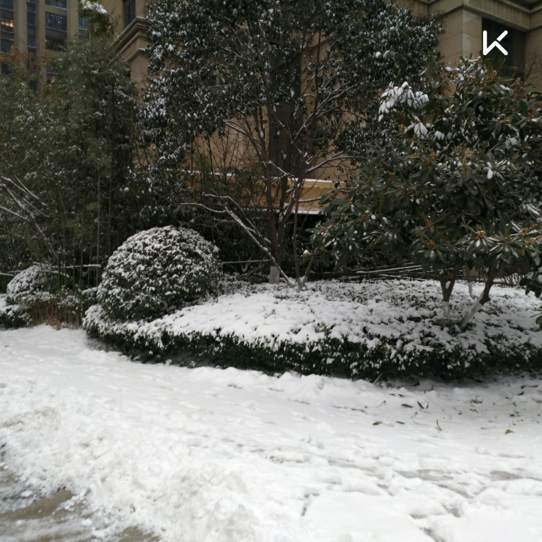 记我大西安冬天的第一场雪!