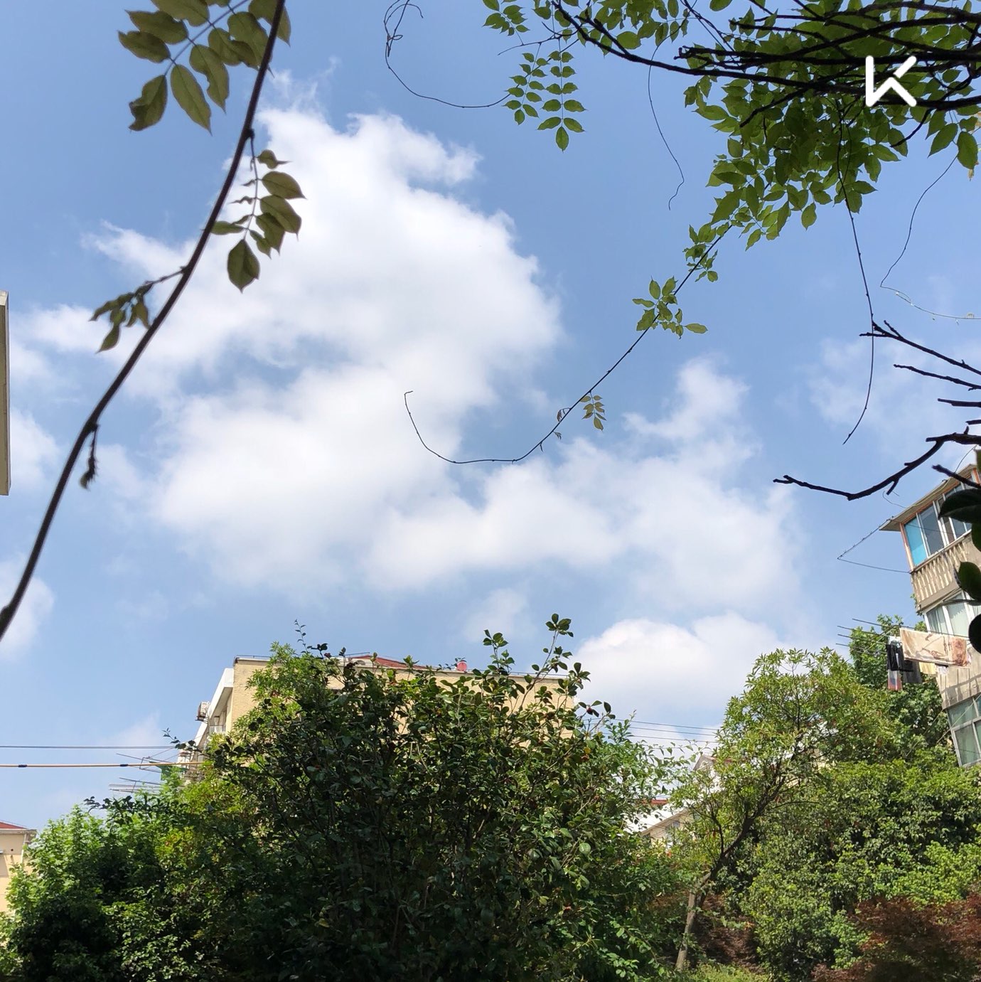 今天的天气真好