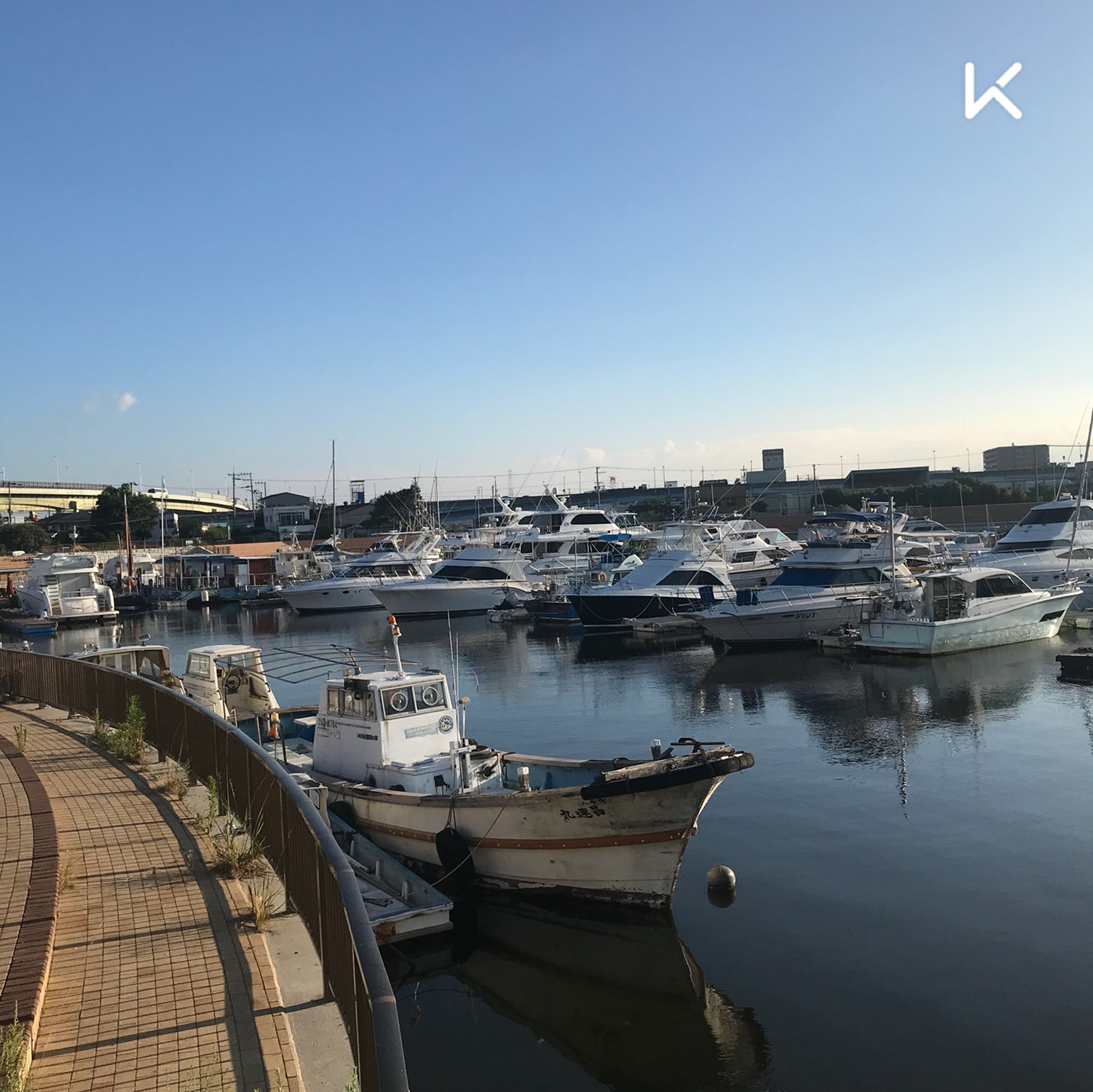 日本大阪堺市晨跑1