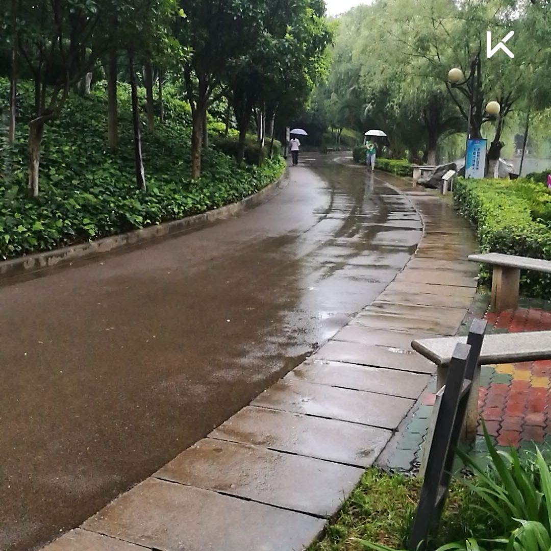 雨中跑步感觉还不错,就是全身都湿了.