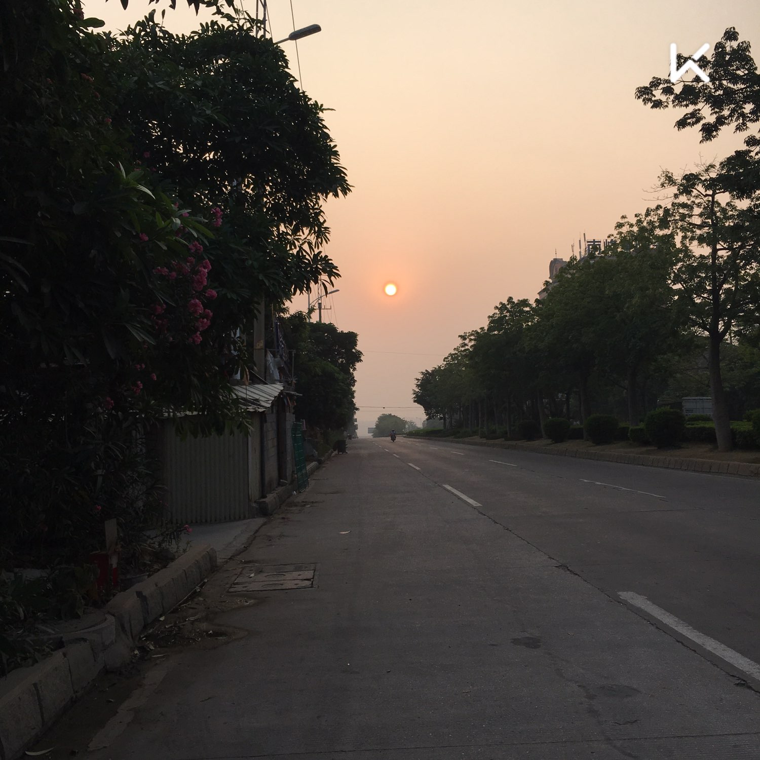 向着太阳出发