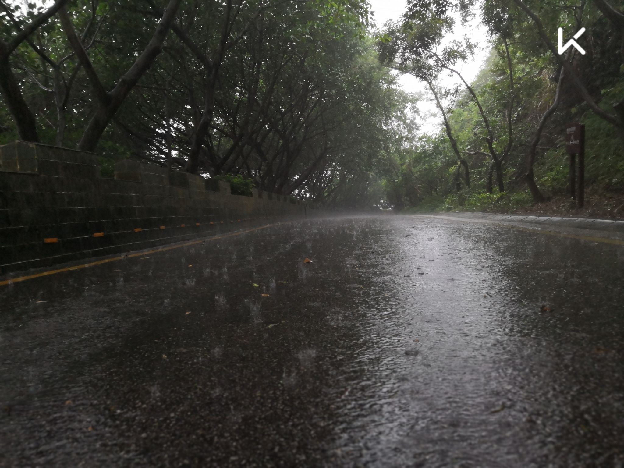 雨中狂奔,很棒