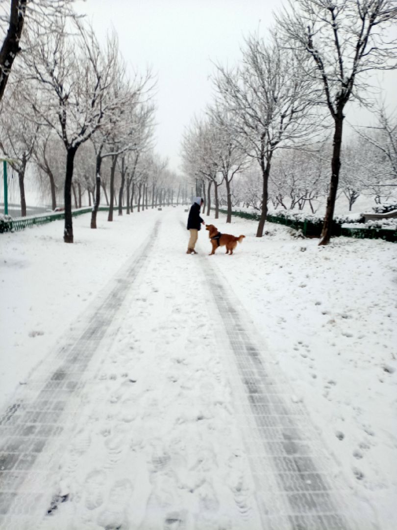 第一次踏雪跑步,脚很沉,但一点不妨碍我的好心情,边跑