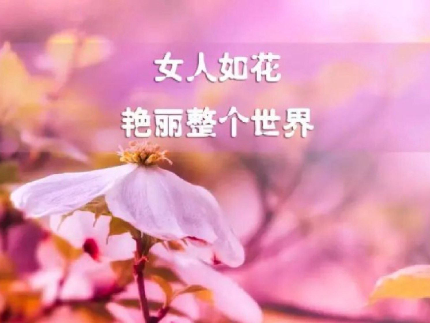 不依赖任何人,只相信自己,加油