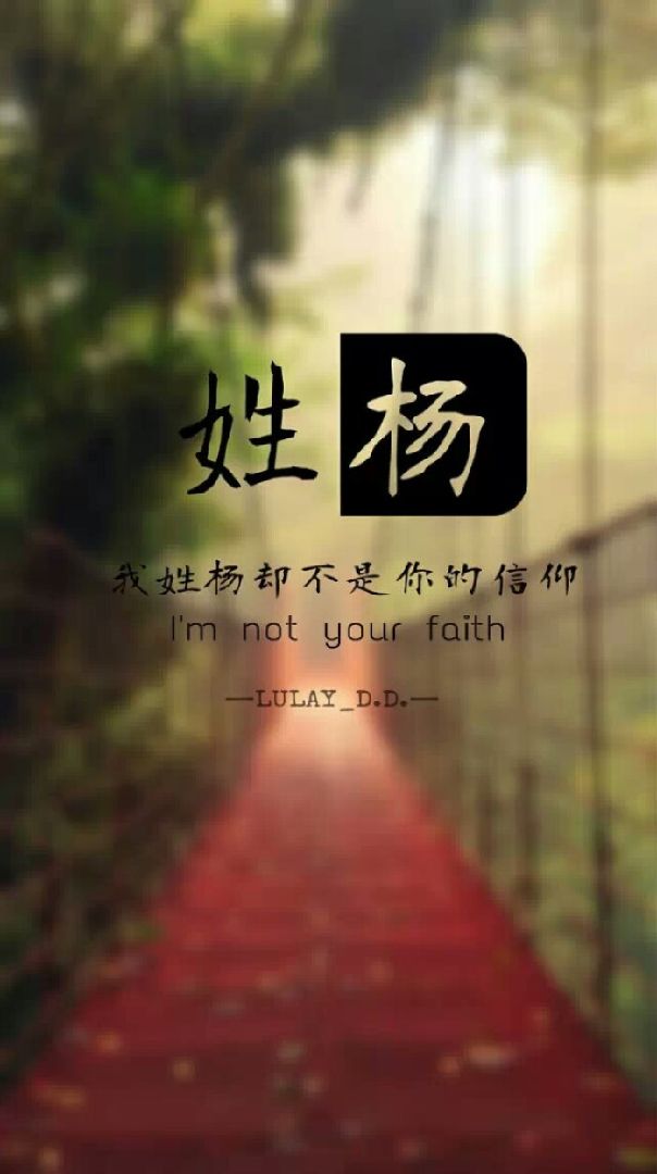 加油 小杨小杨