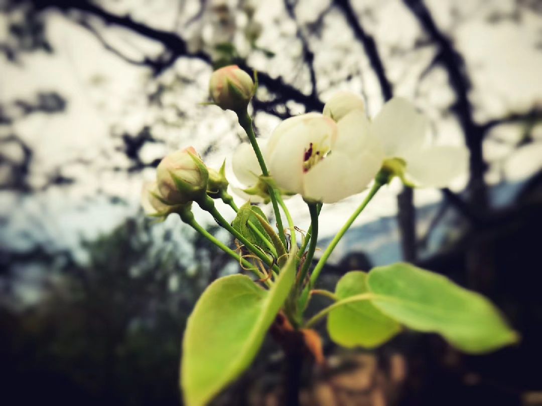 春雨后的早晨