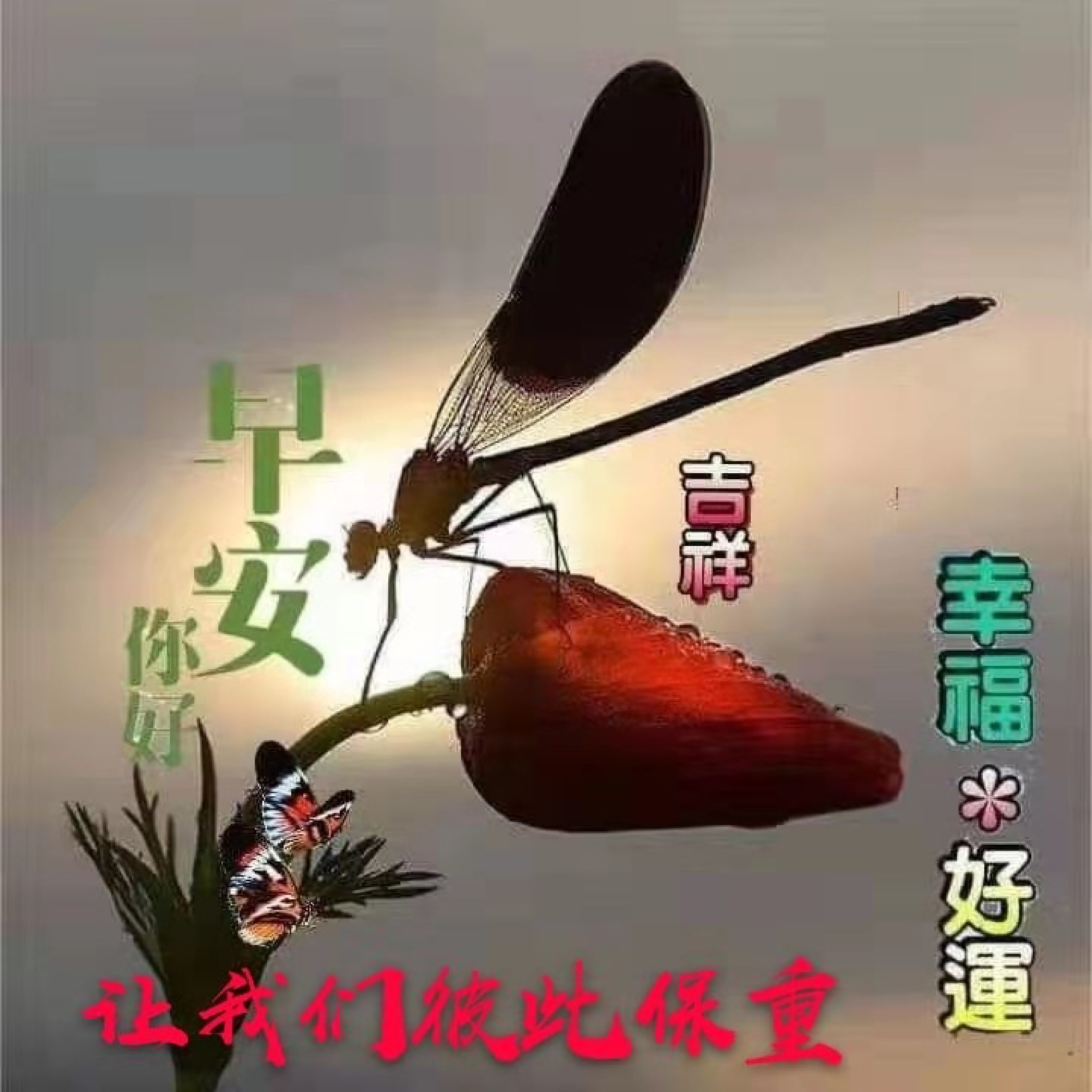 k友们早上好 美好的生活从微笑开始