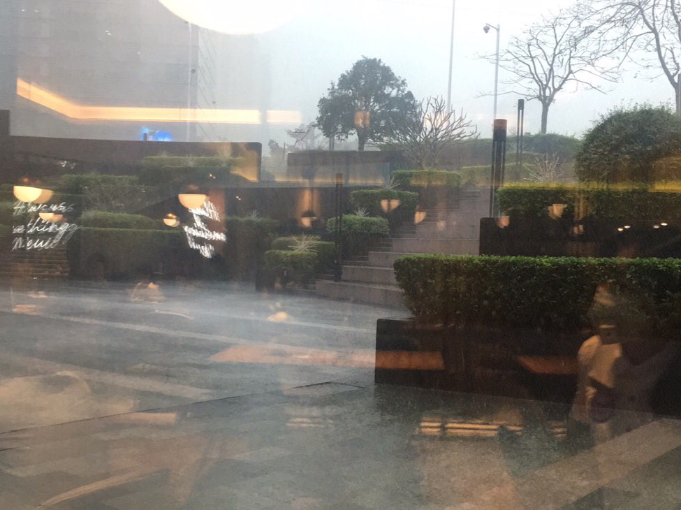 南方这座城市狂风暴雨的一天