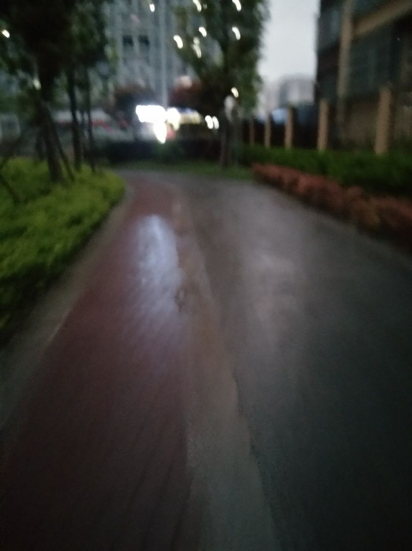 毛毛雨中小跑5km