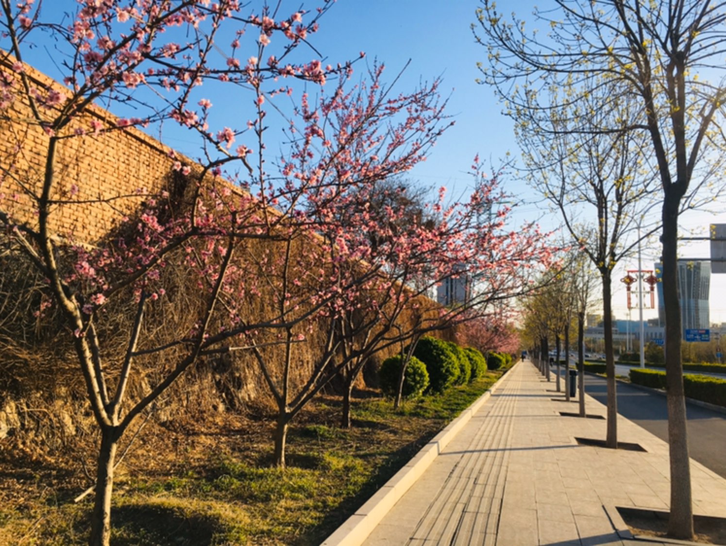 一路繁花似锦