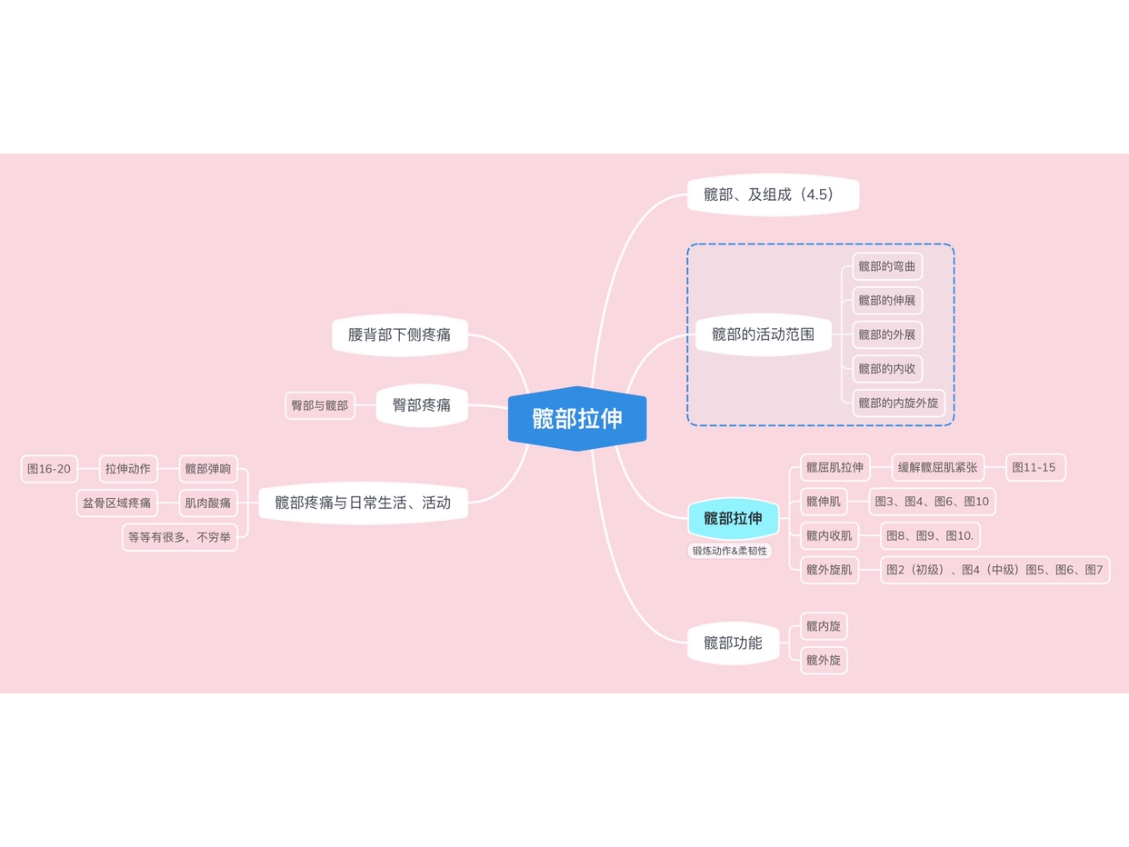 髋部拉伸思维导图做完了,未来几天就具体展开讲咯.