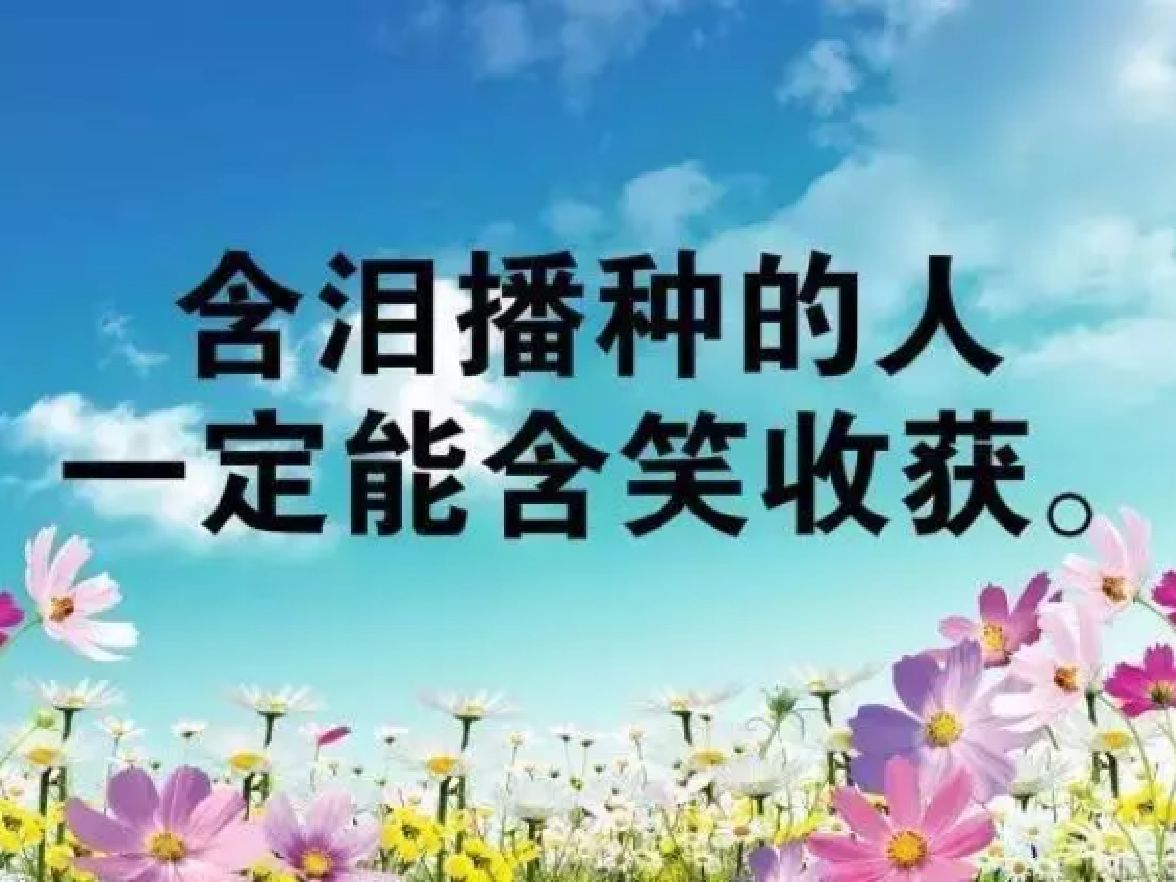 立即参与