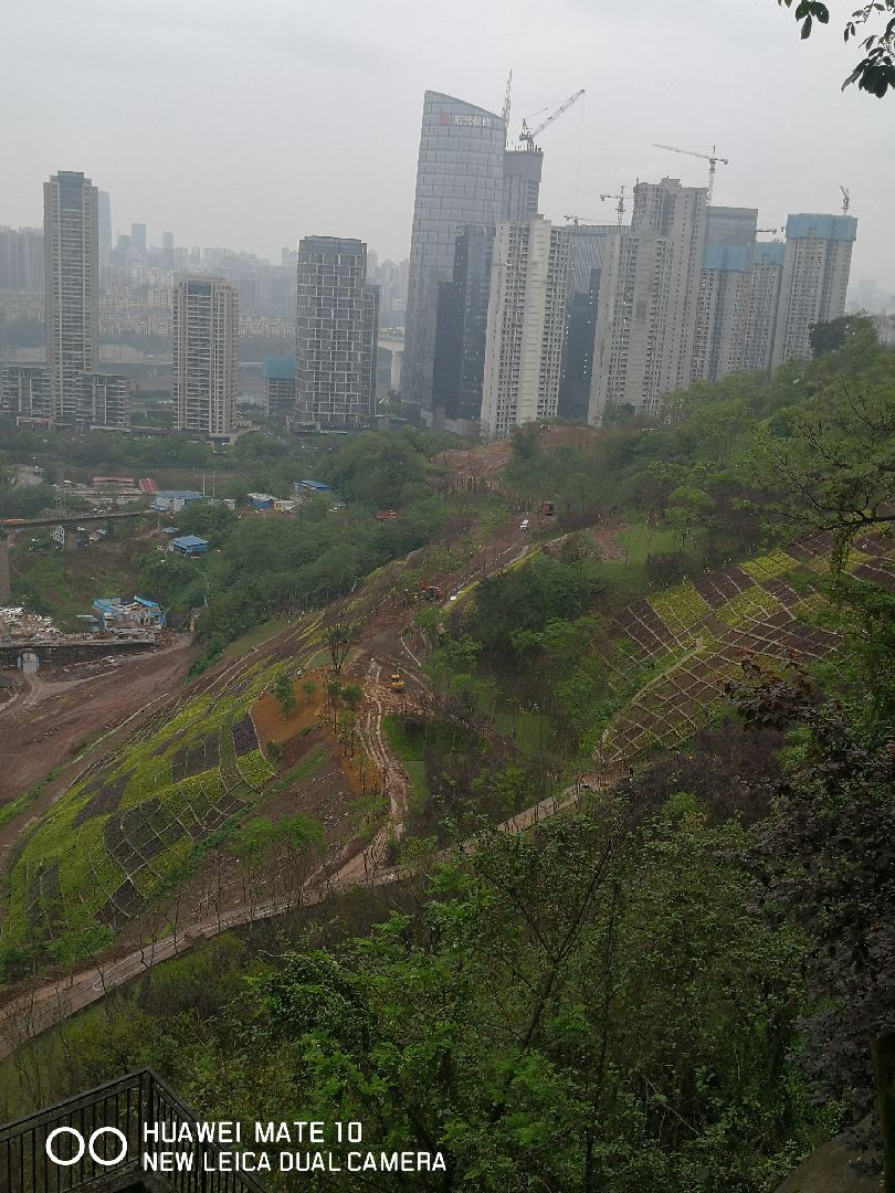 原来大坪虎头岩到化龙桥的荒坡开发成山体公园,已具有艺术气质了.