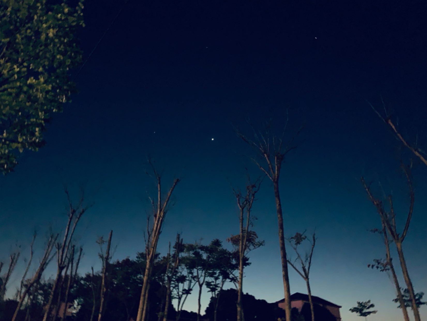 小时候睡不着数星星,长大了揣着心事醒来,今夜的夜色和星星都撩人得