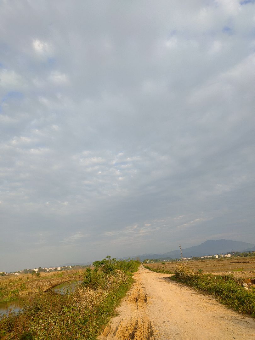 坎坷的道路跑下去才有意义!