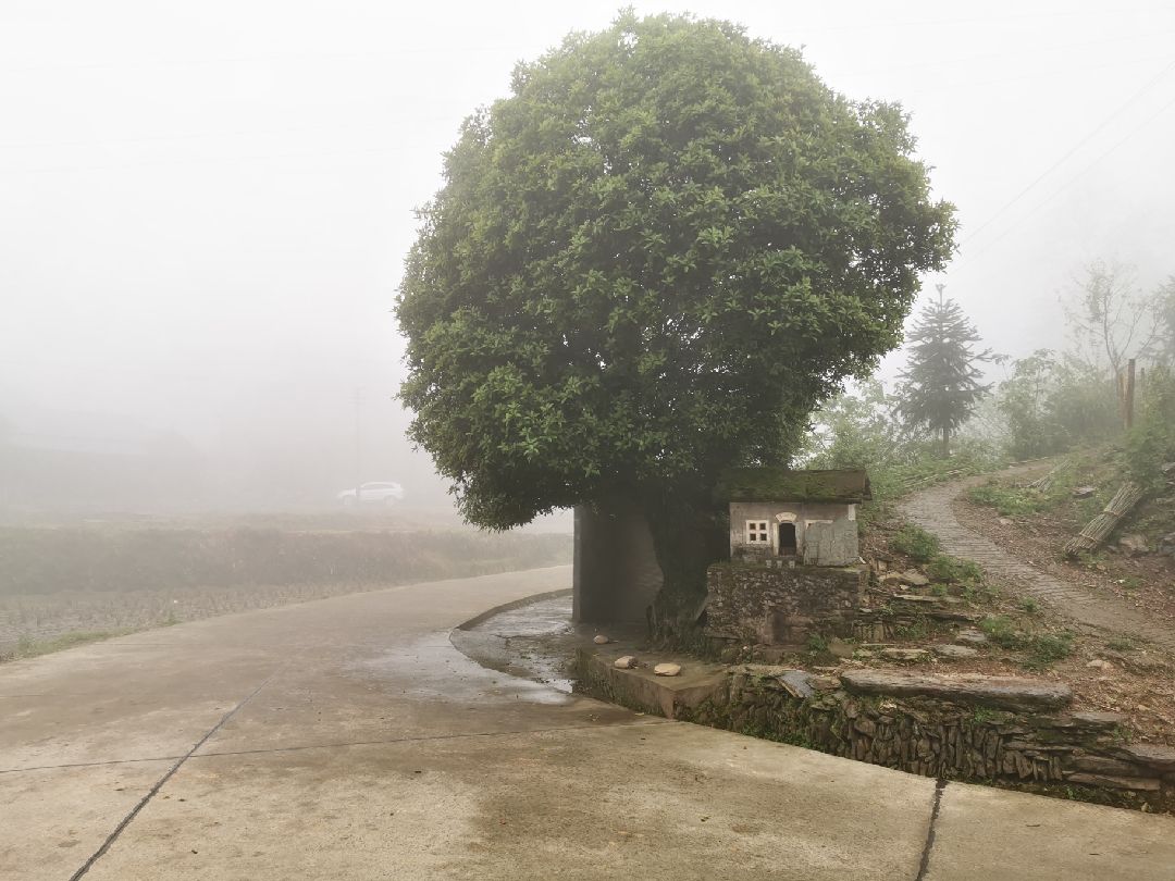 劳动节"不劳动"丨海尔智家:能动口的,绝不让你动手