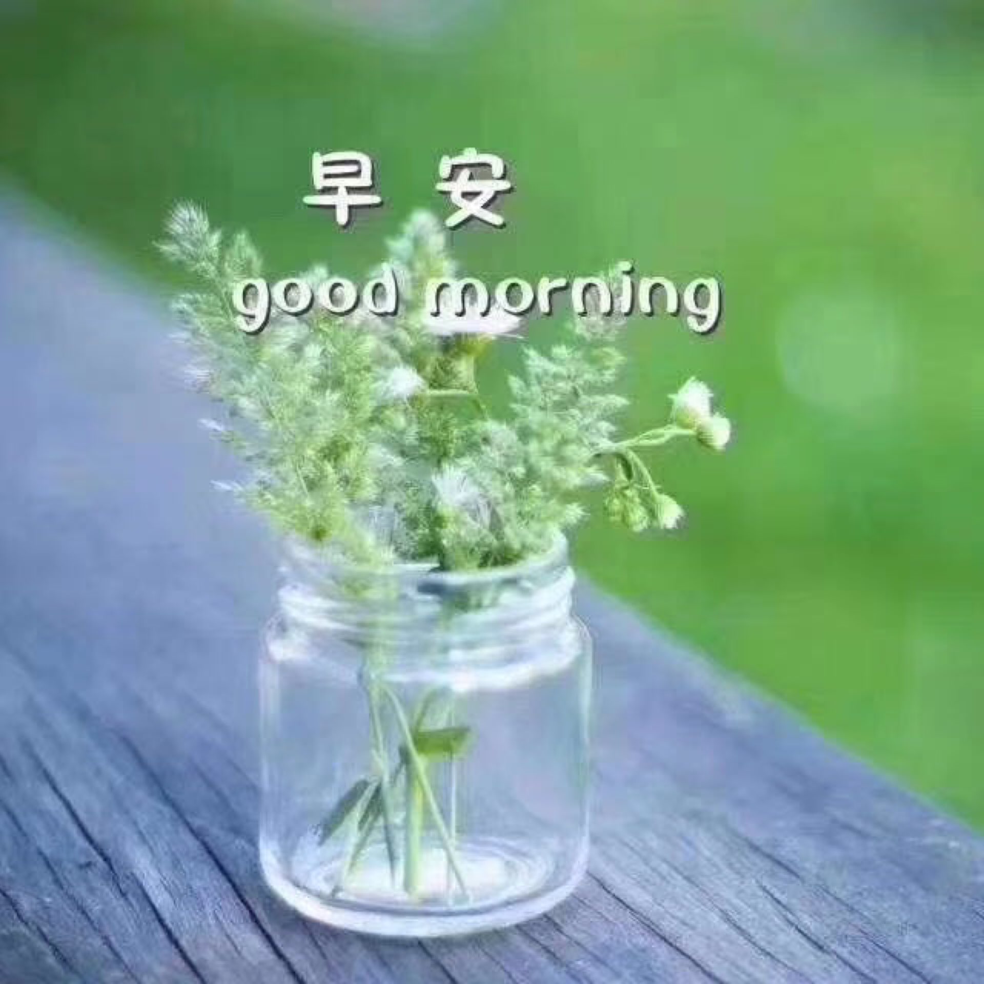 完成 舒缓瑜伽    晨间腰背唤醒 第55次 早上好～小伙伴们,新周愉快