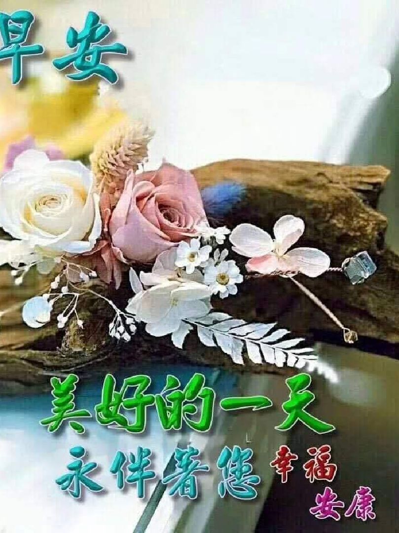 亲们早上好呀!美好的周末开始了!