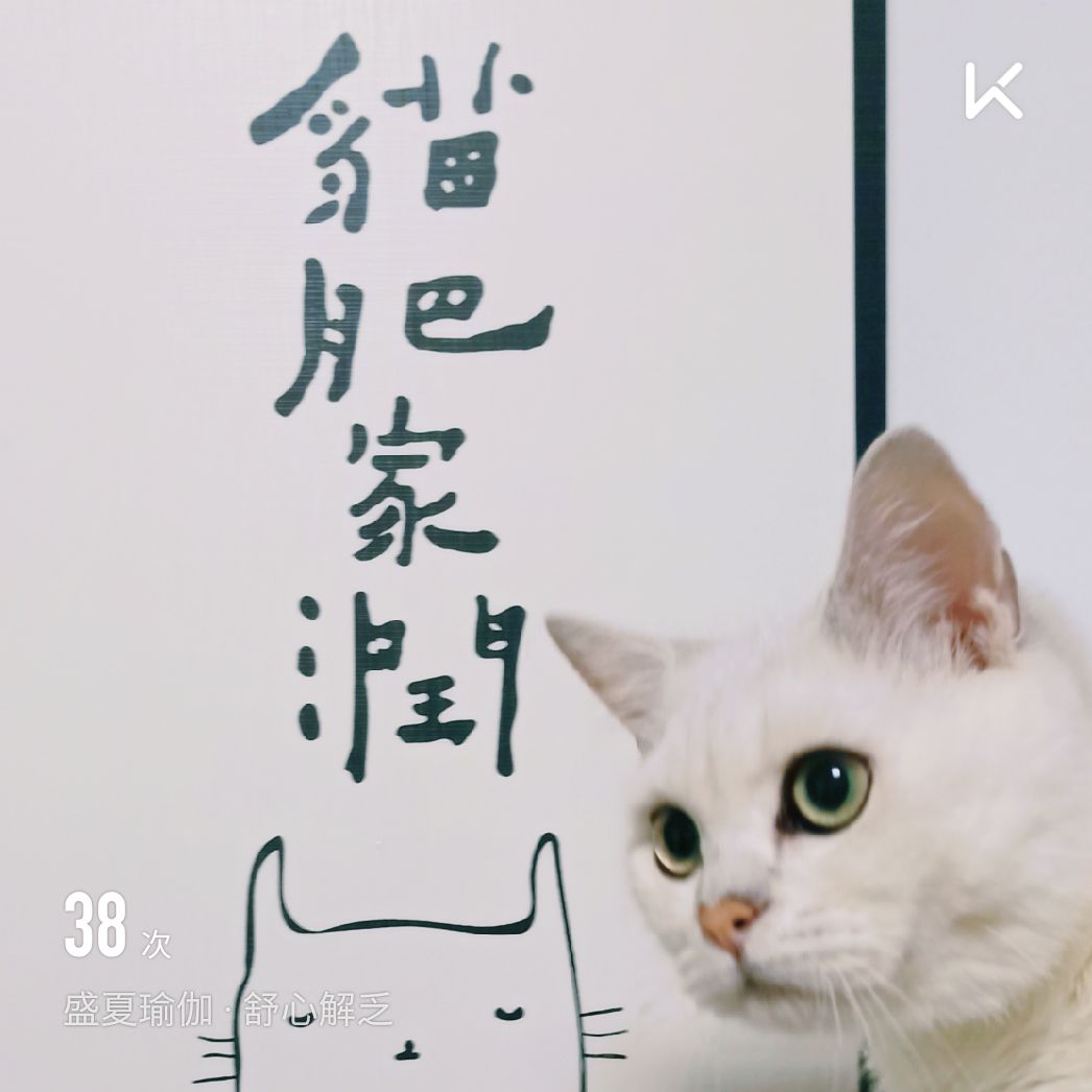 猫肥家润 读书解困 布衣茶饭 可乐终生 相信岁月能够带给你的美好正在