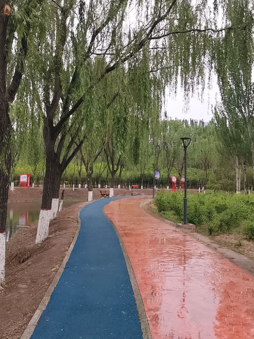 下雨天和跑步更配啊