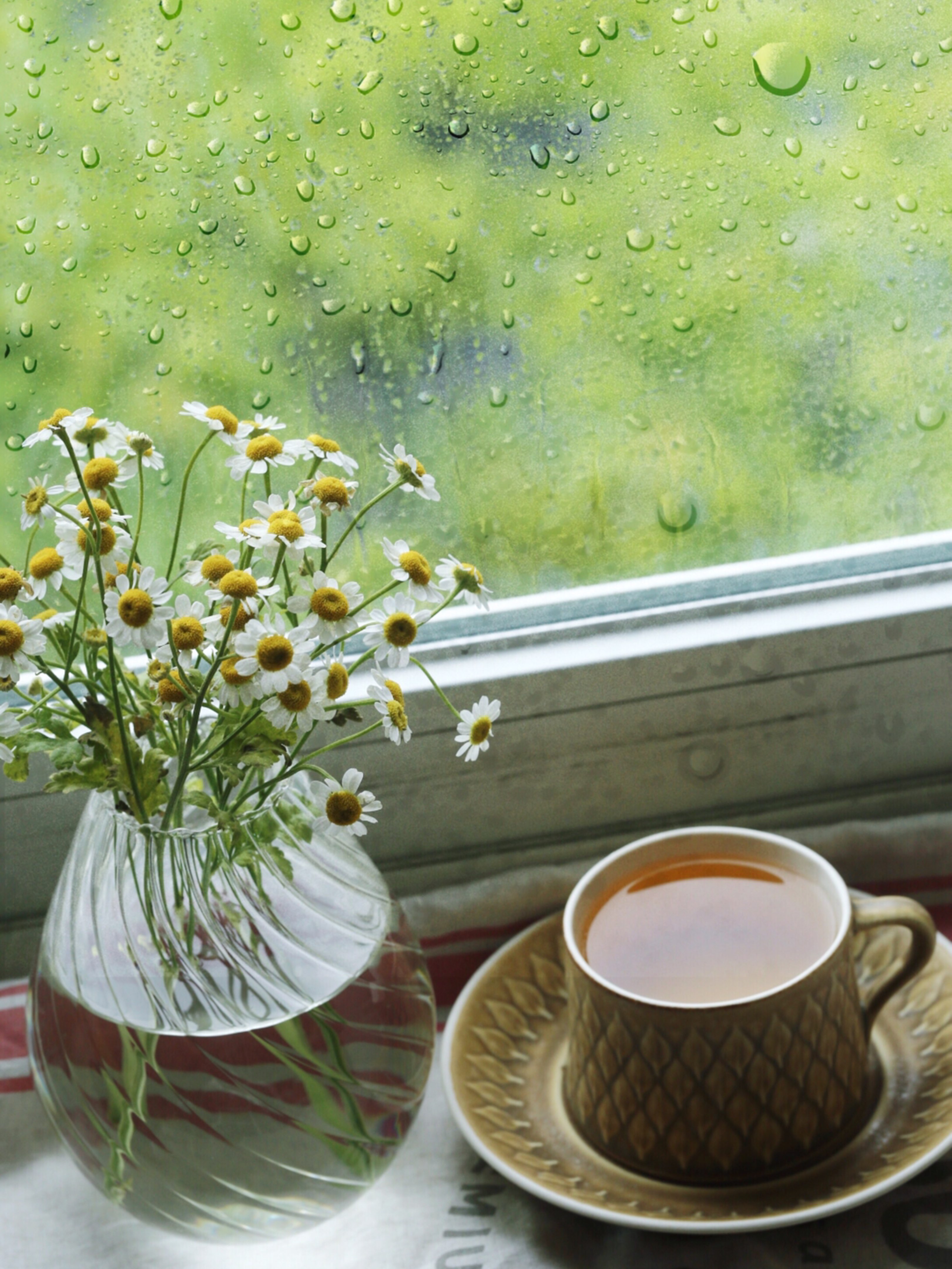 下雨天适合靠着窗台静静地发呆,听雨