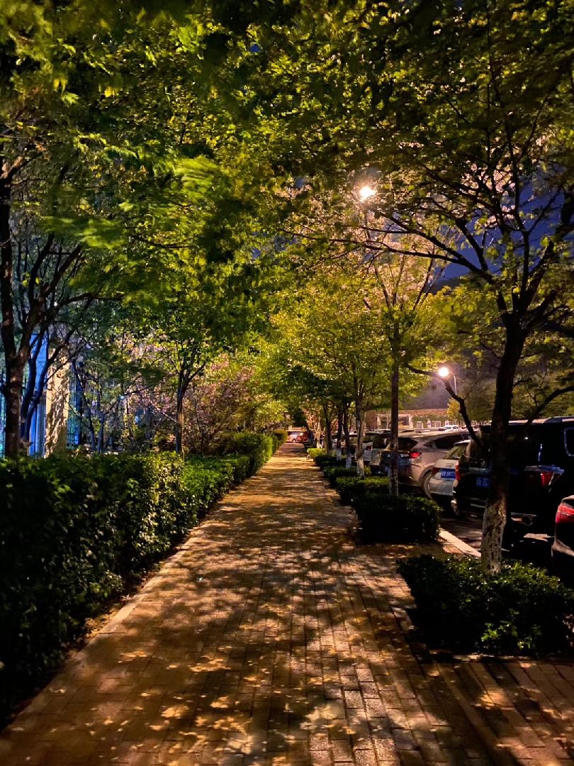 夜跑一小时,打卡 和风游人醉,蕊香蜂蝶迷.无须问所在,何处不流连!