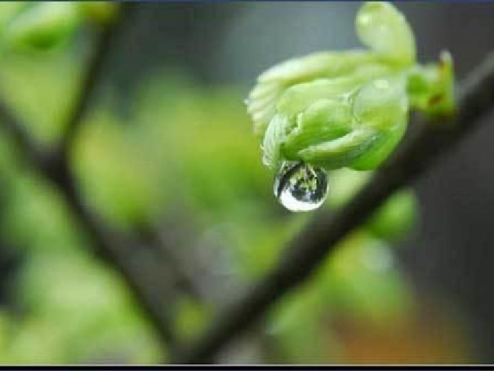 下起了蒙蒙小雨,最喜欢小雨中散步了