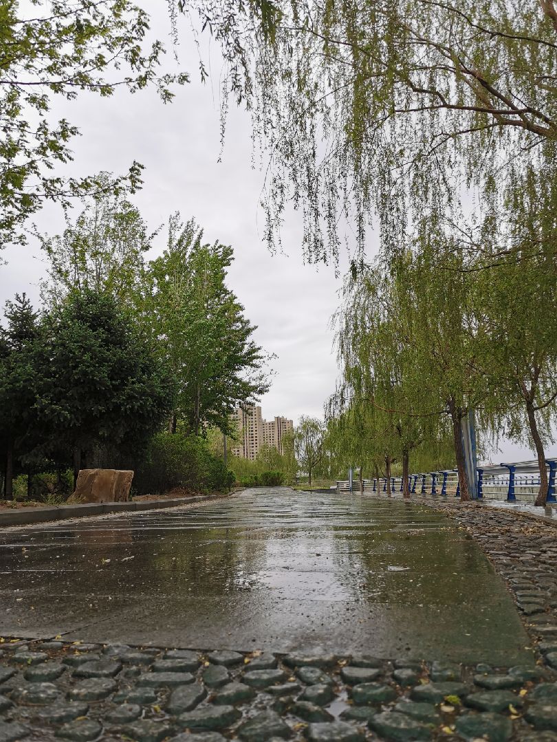 天气预报真的很准呐～ 气温6° 小雨 雨天 音乐 慢跑♀更配哦