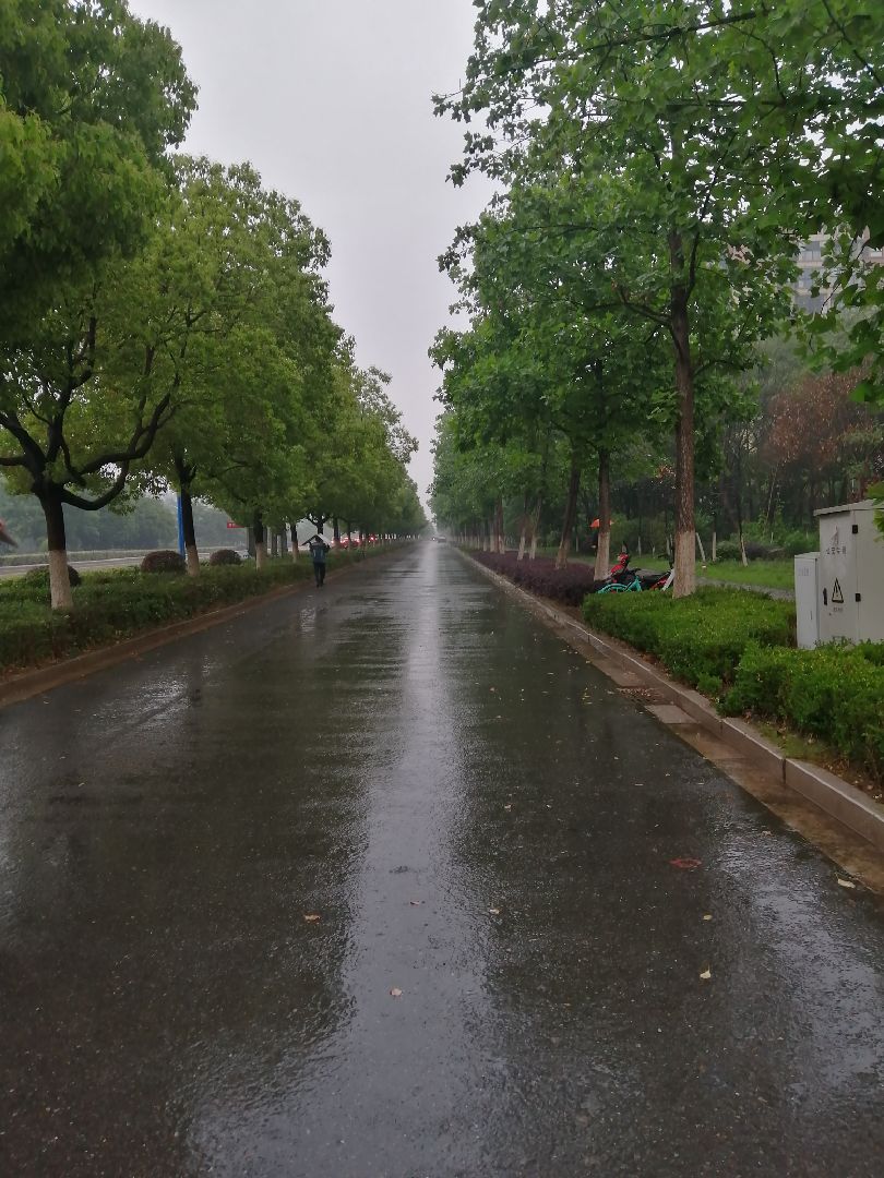 好久没有雨中跑步了