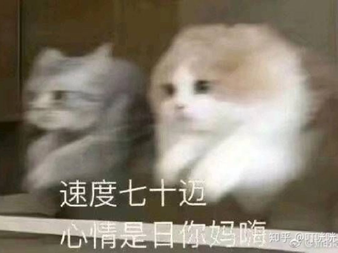 路边车过被水溅到…噼里啪啦厄运退散