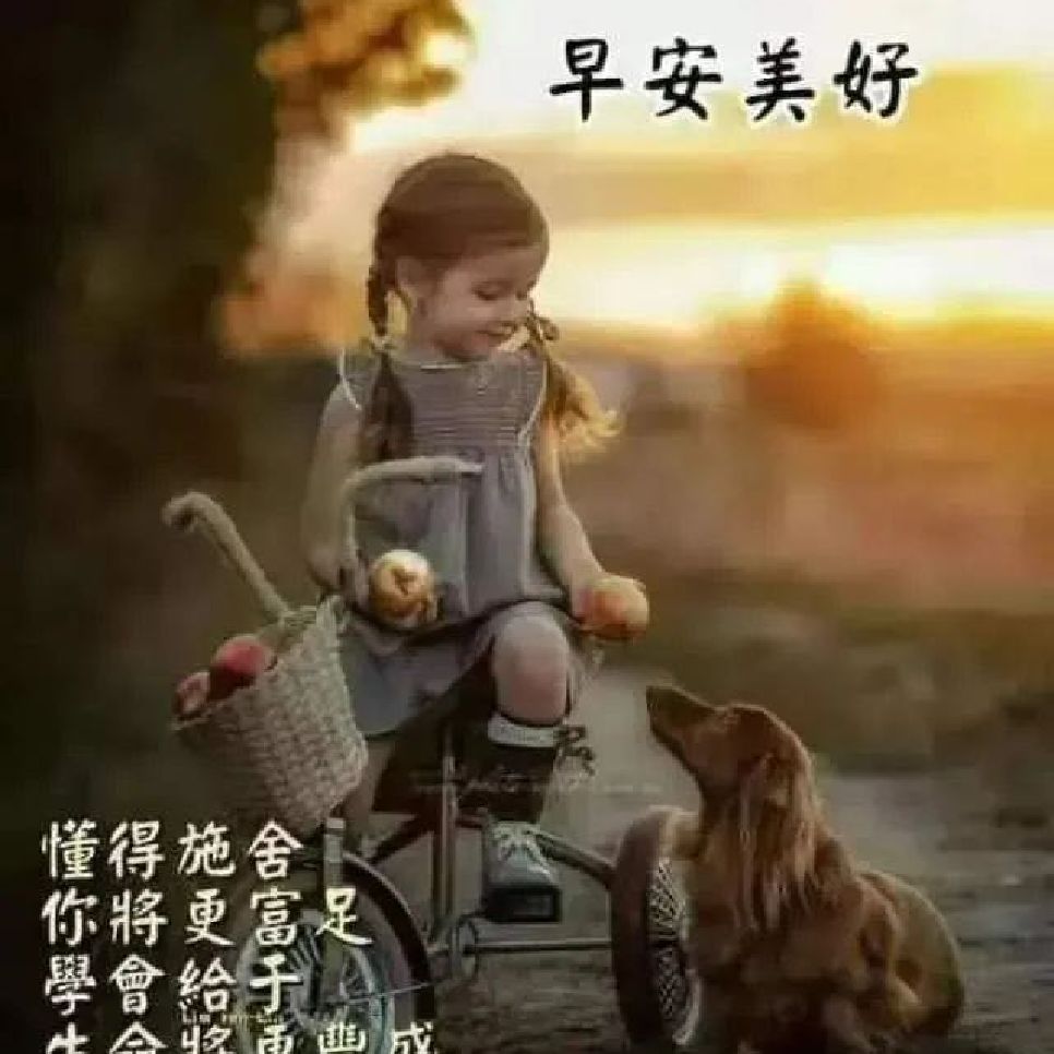 早上好! 立即参与  完成 瑜伽    晨间唤醒 第801次  参与