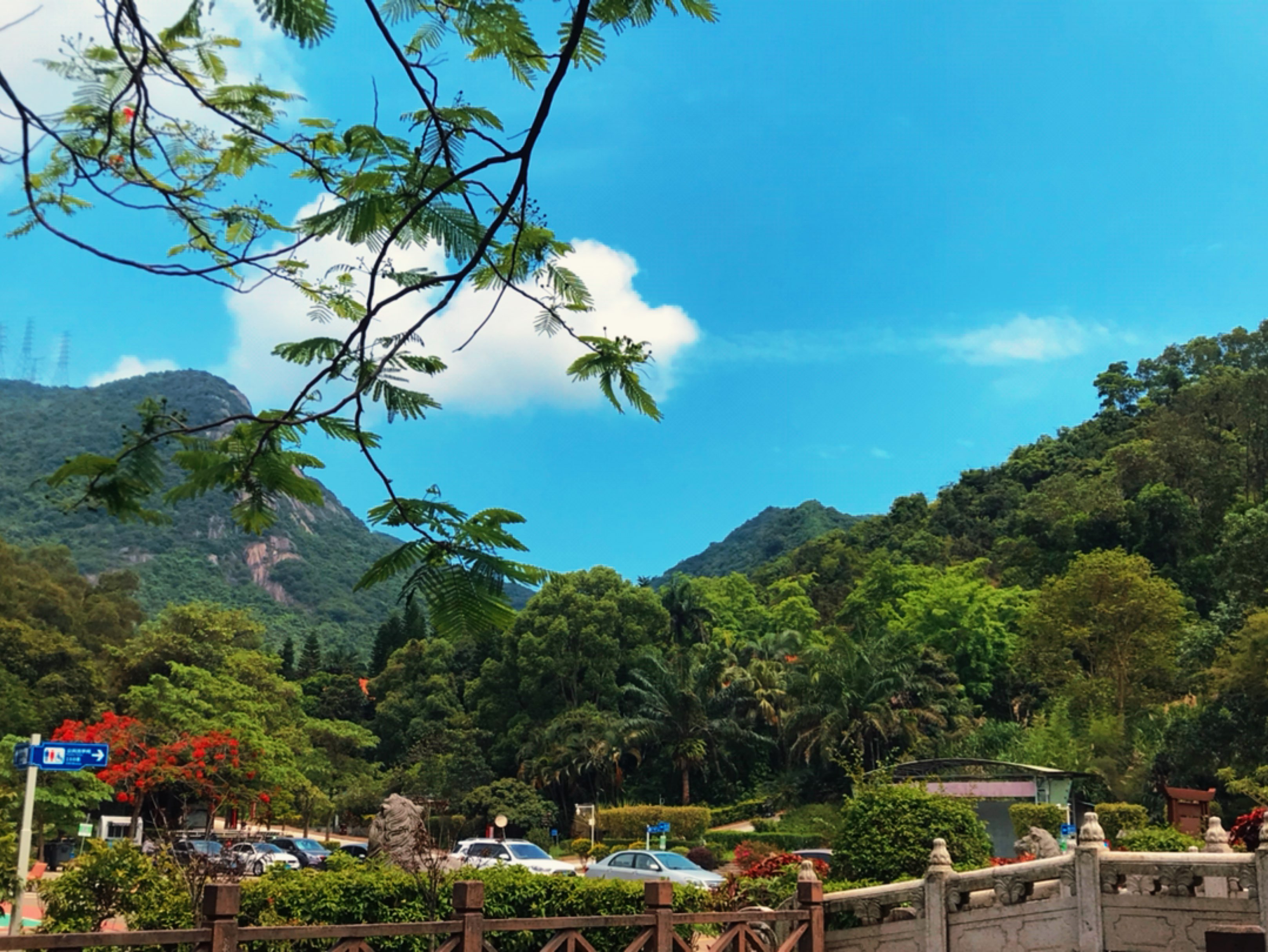 打卡横岗园山风景区[脸红]爬山挺累的但是看着沿途的