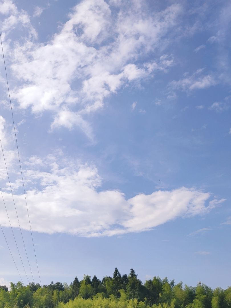 天气真热