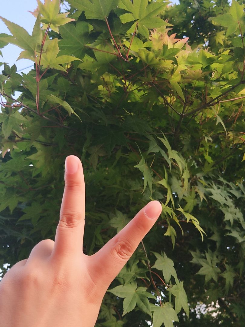 坚持第二天!