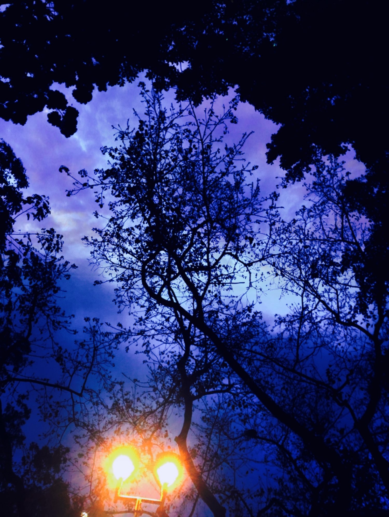 星天,天辅星_大山谷图库