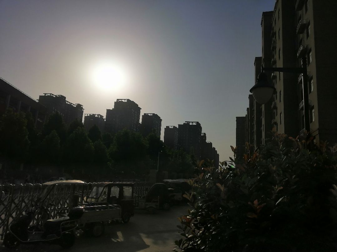 清晨起来,拥抱太阳满满的正能量