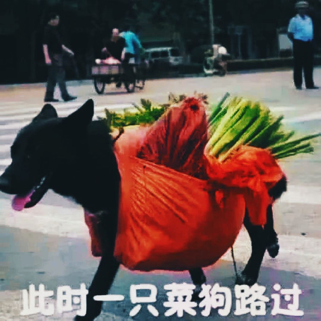 菜到抠脚 真的