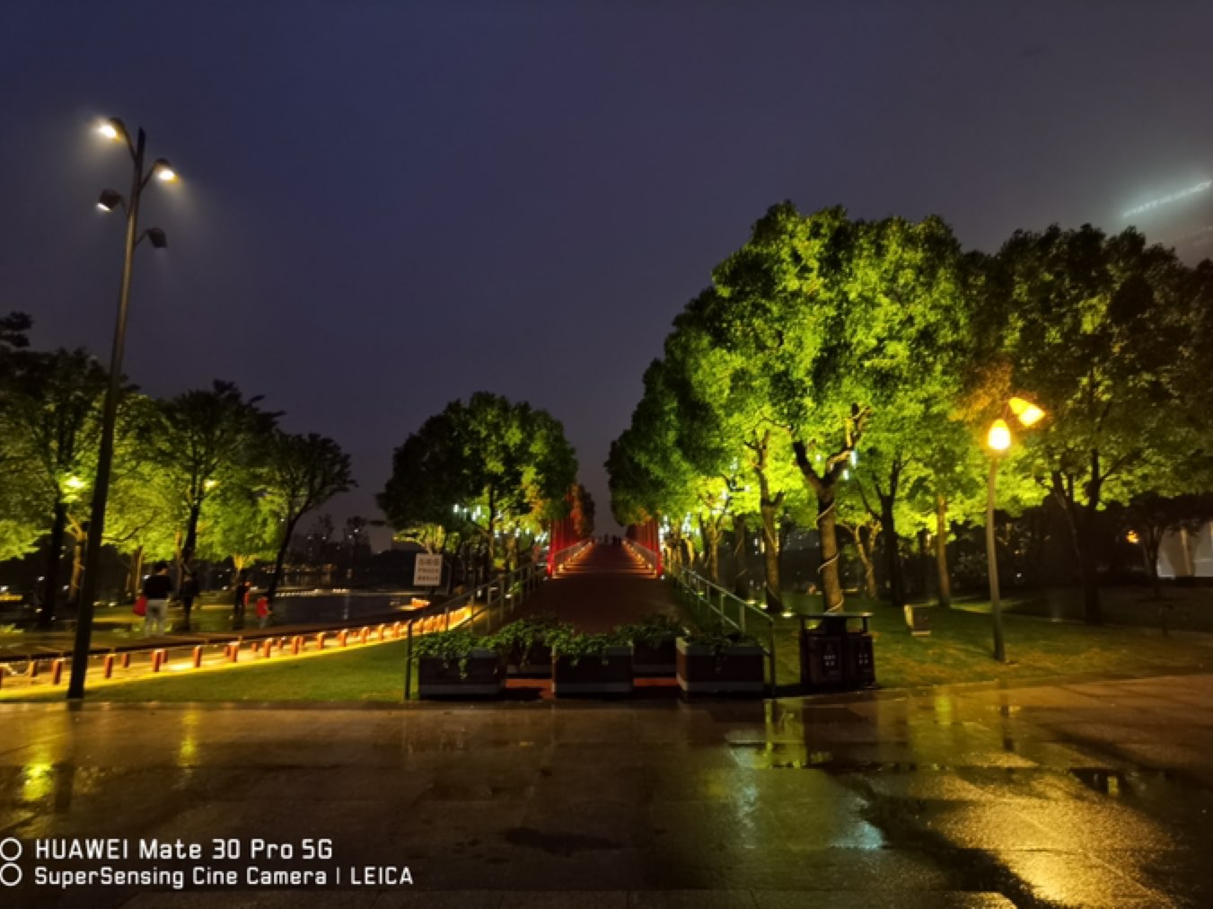 雨后的远香湖畔