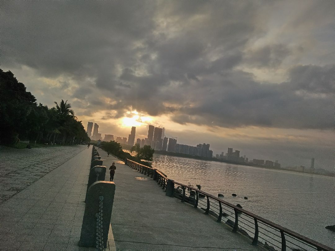 深圳湾晨跑,全身湿透了