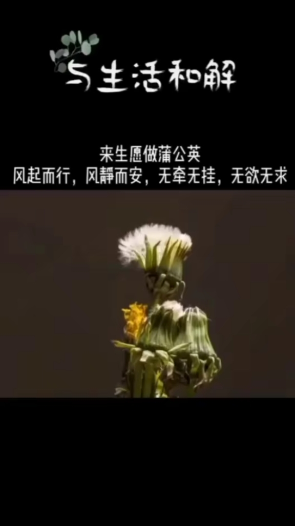 晚安,早睡早起