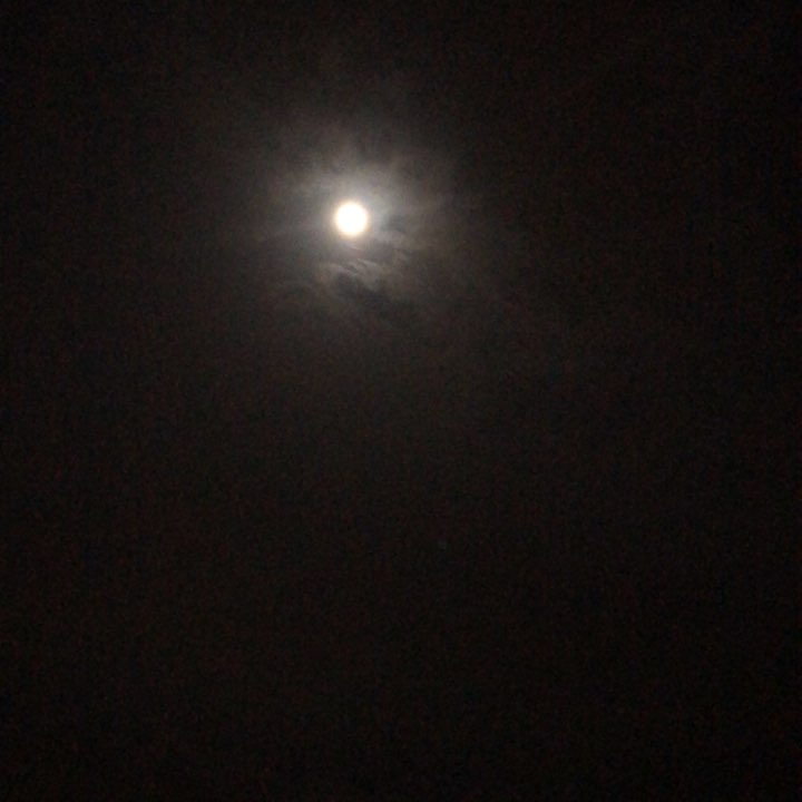 今晚的月亮真的很圆,暴风雨来之前的微风吹拂着我的脸颊,舒服,酸爽