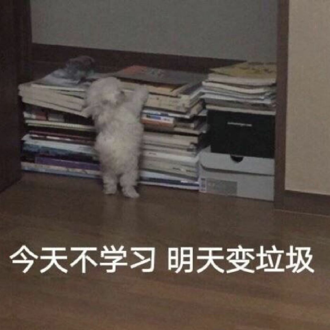 拉伸,喝水,收工,睡觉