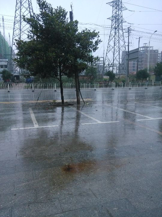 今天一大早起来就下雨了,好不容易雨停,马上开跑,做好