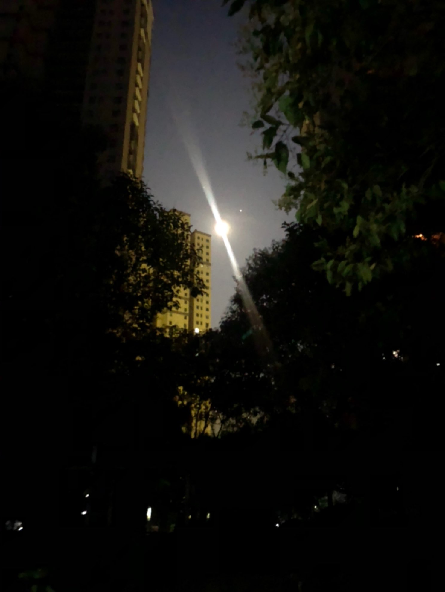 今天出师不利 第一圈就摔成这样 也是尴尬了 幸好那会天还没有亮 没人