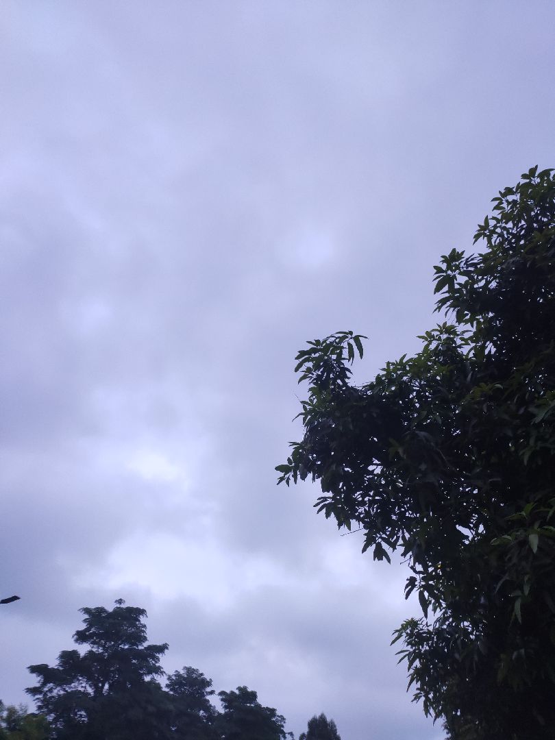 一天不跑步是真的烦,求求以后不要下雨啦