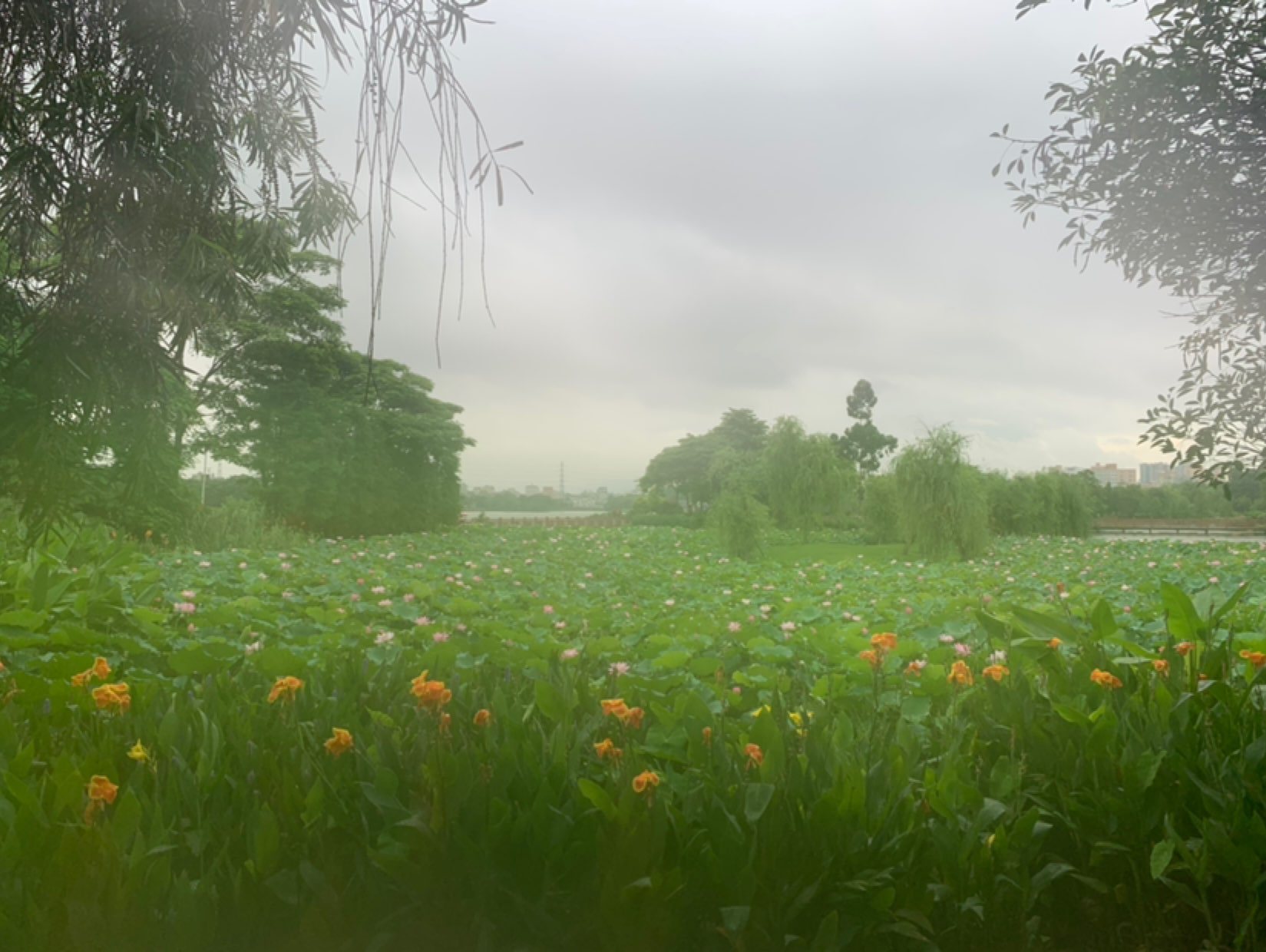 细雨绵绵,既有诗也有远方!