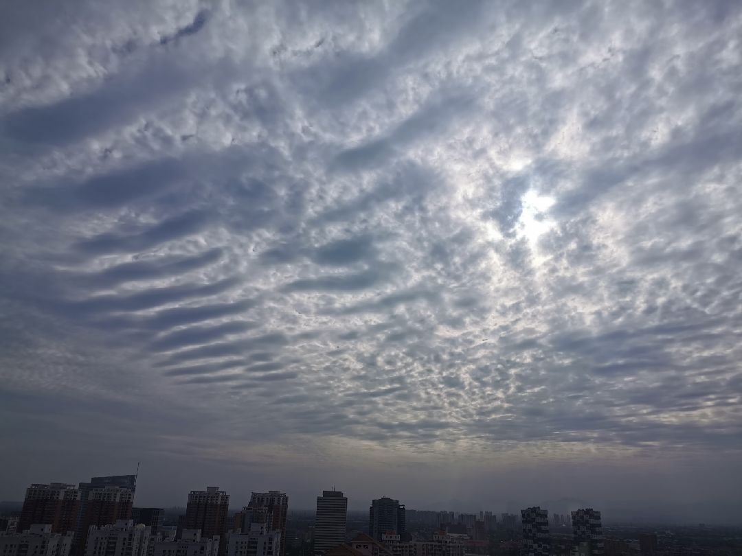 今天真凉快[酷]天空飘过排骨云