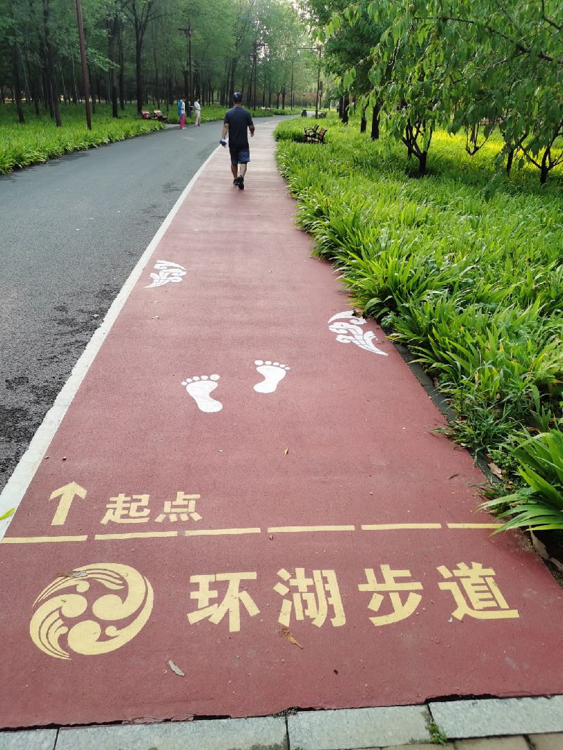 雨后早上空气好,到公园跑步!一步一景!